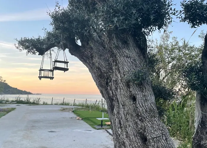 Daire Altamarea Casa *