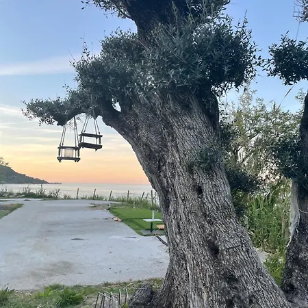 Apartman Altamarea Casa *